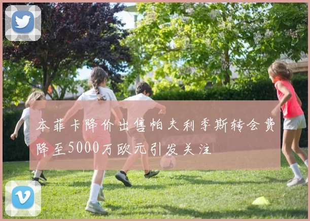 本菲卡降价出售帕夫利季斯转会费降至5000万欧元引发关注