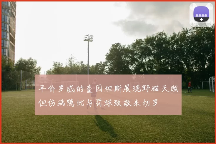 平价罗威的奎因坦斯展现野猫天赋但伤病隐忧与罚球致敬米切罗